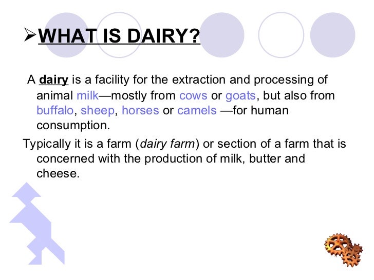 Dairy