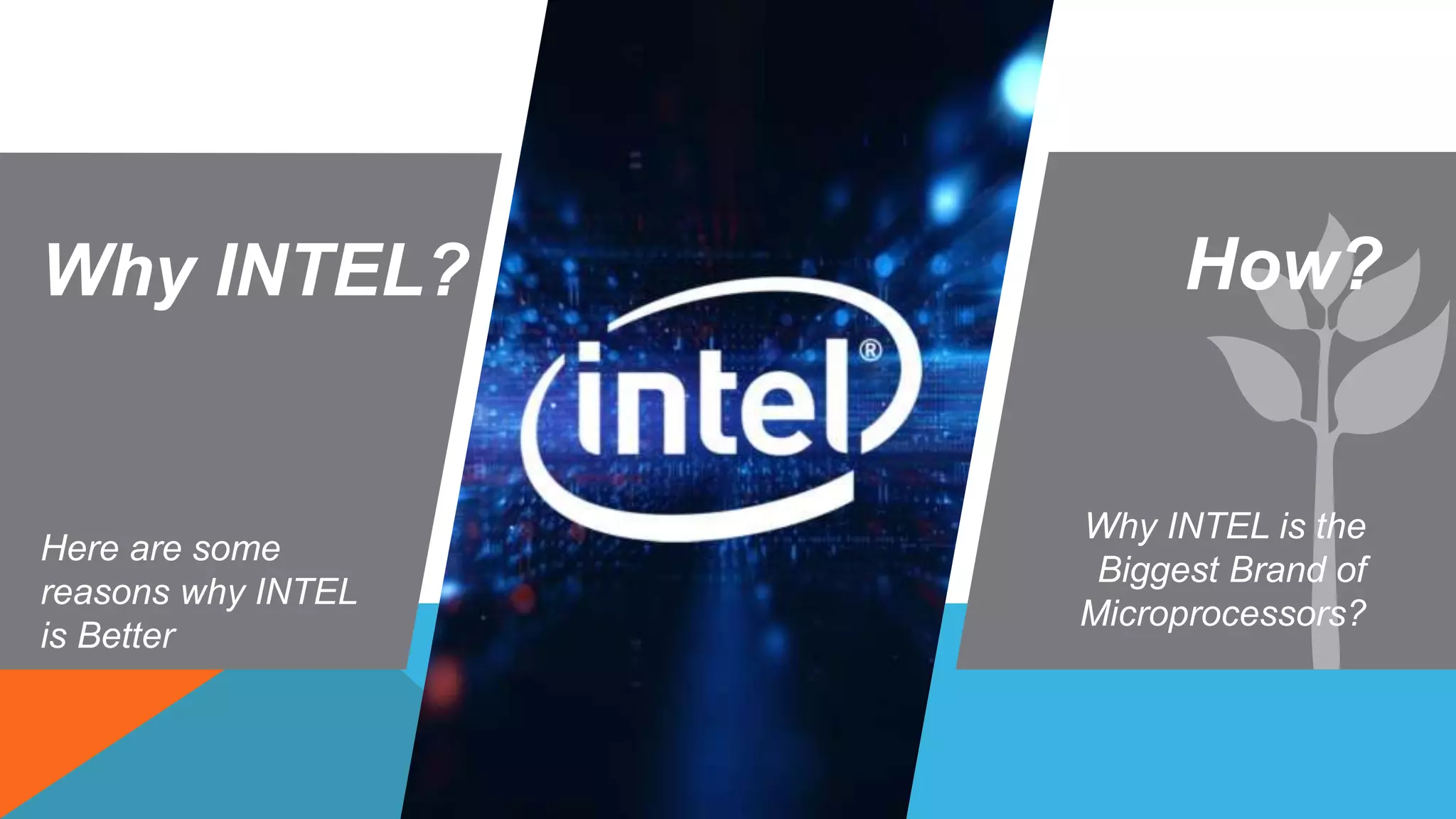 Why INTEL?
Here are some
reasons why INTEL
is Better
Why INTEL is the
Biggest Brand of
Microprocessors?
How?
 