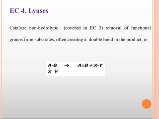 EC 4. Lyases
Catalyze non-hydrolytic (covered in EC 3) removal of functional
groups from substrates, often creating a double bond in the product; or
 