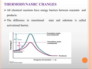 THERMODYNAMIC CHANGES
 All chemical reactions have energy barriers between reactants and
products.
 The difference in transitional state and substrate is called
activational barrier.
 
