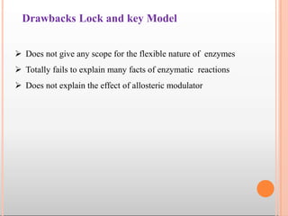 Drawbacks Lock and key Model
 Does not give any scope for the flexible nature of enzymes
 Totally fails to explain many facts of enzymatic reactions
 Does not explain the effect of allosteric modulator
 