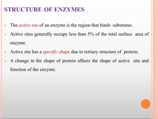 STRUCTURE OF ENZYMES
 The active site of an enzyme is the region that binds substrates.
 Active sites generally occupy less than 5% of the total surface area of
enzyme.
 Active site has a specific shape due to tertiary structure of protein.
 A change in the shape of protein affects the shape of active site and
function of the enzyme.
 