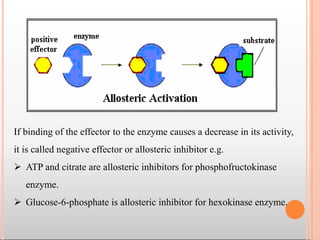 If binding of the effector to the enzyme causes a decrease in its activity,
it is called negative effector or allosteric inhibitor e.g.
 ATP and citrate are allosteric inhibitors for phosphofructokinase
enzyme.
 Glucose-6-phosphate is allosteric inhibitor for hexokinase enzyme.
 