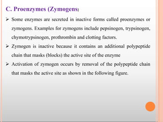 C. Proenzymes (Zymogens)
 Some enzymes are secreted in inactive forms called proenzymes or
zymogens. Examples for zymogens include pepsinogen, trypsinogen,
chymotrypsinogen, prothrombin and clotting factors.
 Zymogen is inactive because it contains an additional polypeptide
chain that masks (blocks) the active site of the enzyme
 Activation of zymogen occurs by removal of the polypeptide chain
that masks the active site as shown in the following figure.
 