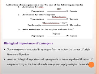  Some enzymes are secreted in zymogen form to protect the tissues of origin
from auto digestion.
 Another biological importance of zymogens is to insure rapid mobilization of
enzyme activity at the time of needs in response to physiological demands.
Biological importance of zymogens
 