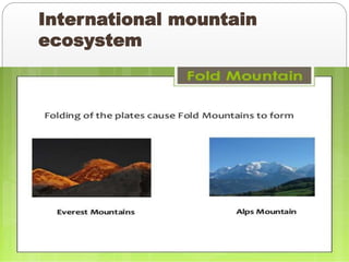 International mountain
ecosystem
 