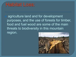  agriculture land and for development
purposes, and the use of forests for timber,
food and fuel wood are some of the main
threats to biodiversity in this mountain
region.
 