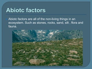  Abiotc factors are all of the non-living things in an
ecosystem. Such as stones, rocks, sand, silt , flora and
fauna.
 