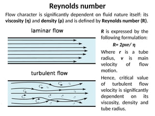 Main principles and regularities of hydrostatics and hydrodynamics.pptx