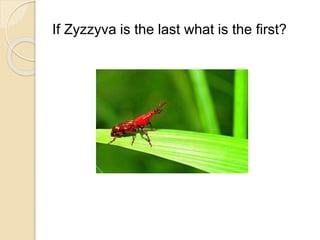 If Zyzzyva is the last what is the first? 
 