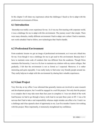 Software Engineering Internship | PDF