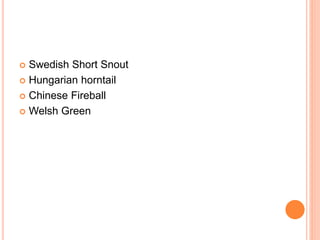  Swedish Short Snout
 Hungarian horntail
 Chinese Fireball
 Welsh Green
 