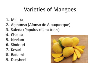 Varieties of Mangoes
1. Mallika
2. Alphonso (Afonso de Albuquerque)
3. Safeda (Populus ciliata trees)
4. Chausa
5. Neelam
6. Sindoori
7. Kesari
8. Badami
9. Dussheri
 