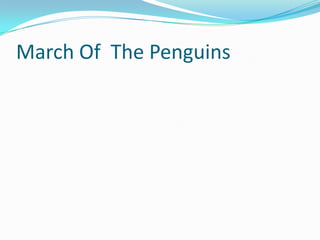 March Of The Penguins
 