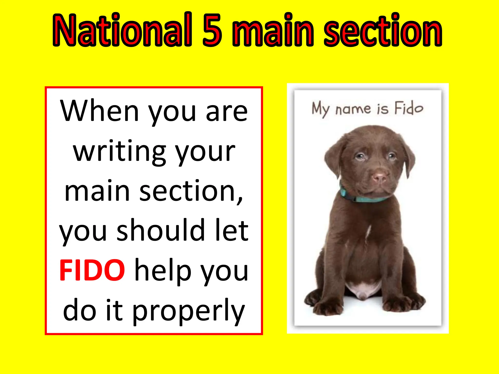 When you are
writing your
main section,
you should let
FIDO help you
do it properly
