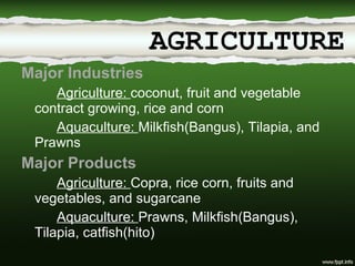 Major Industries Agriculture:  coconut, fruit and vegetable contract growing, rice and corn Aquaculture:  Milkfish(Bangus), Tilapia, and Prawns Major Products Agriculture:  Copra, rice corn, fruits and vegetables, and sugarcane Aquaculture:  Prawns, Milkfish(Bangus), Tilapia, catfish(hito) AGRICULTURE 