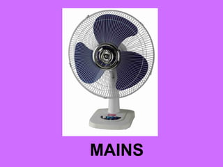 MAINS
 