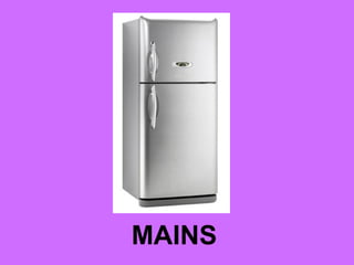 MAINS
 