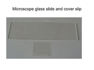Microscope glass slide and cover slip 
 