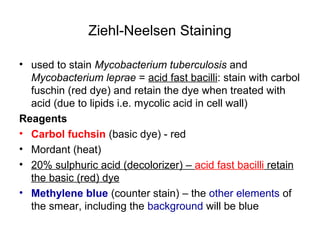 Ziehl-Neelsen Staining 
• used to stain Mycobacterium tuberculosis and 
Mycobacterium leprae = acid fast bacilli: stain with carbol 
fuschin (red dye) and retain the dye when treated with 
acid (due to lipids i.e. mycolic acid in cell wall) 
Reagents 
• Carbol fuchsin (basic dye) - red 
• Mordant (heat) 
• 20% sulphuric acid (decolorizer) – acid fast bacilli retain 
the basic (red) dye 
• Methylene blue (counter stain) – the other elements of 
the smear, including the background will be blue 
 