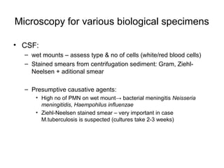 Microscopy for various biological specimens 
• CSF: 
– wet mounts – assess type & no of cells (white/red blood cells) 
– Stained smears from centrifugation sediment: Gram, Ziehl- 
Neelsen + aditional smear 
– Presumptive causative agents: 
• High no of PMN on wet mount→ bacterial meningitis Neisseria 
meningitidis, Haempohilus influenzae 
• Ziehl-Neelsen stained smear – very important in case 
M.tuberculosis is suspected (cultures take 2-3 weeks) 
 