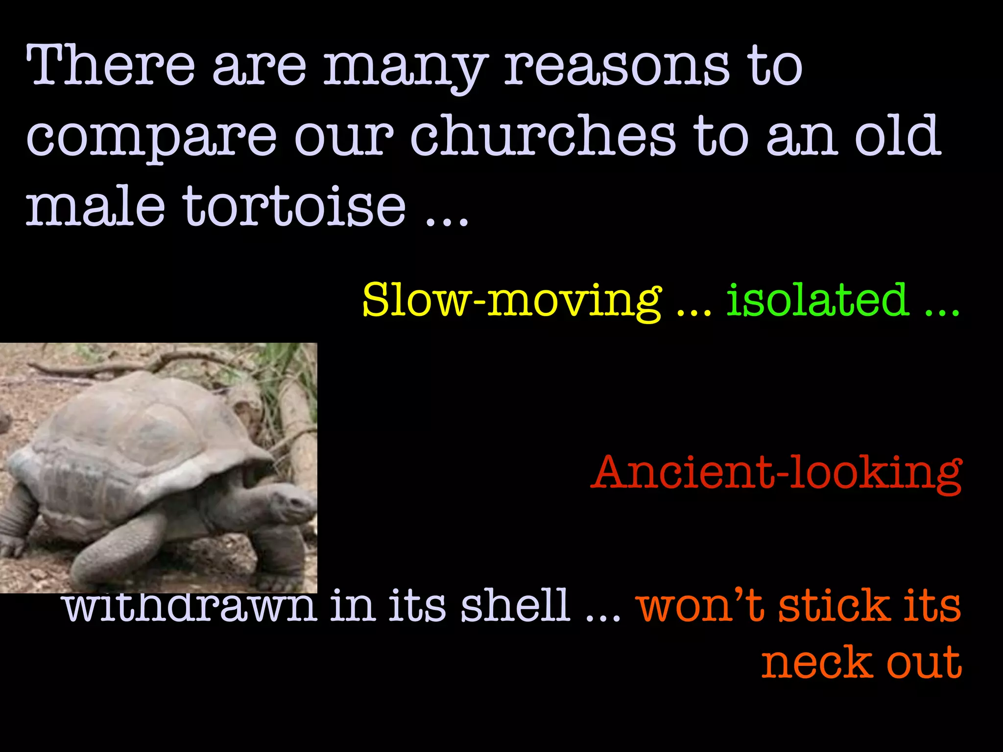 There are many reasons to
compare our churches to an old
male tortoise …
              Slow-moving … isolated …


                        Ancient-looking

 withdrawn in its shell … won’t stick its
                               neck out
 