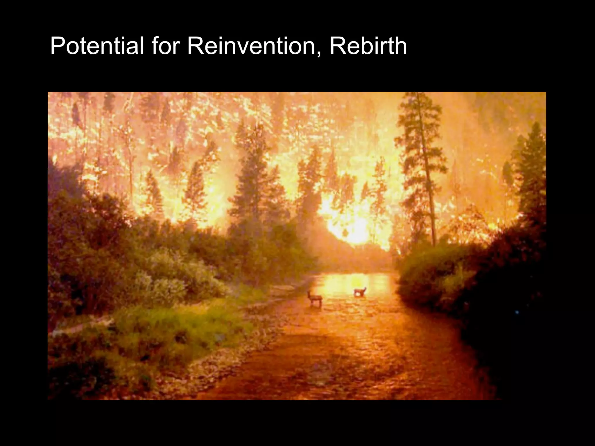 Potential for Reinvention, Rebirth
 
