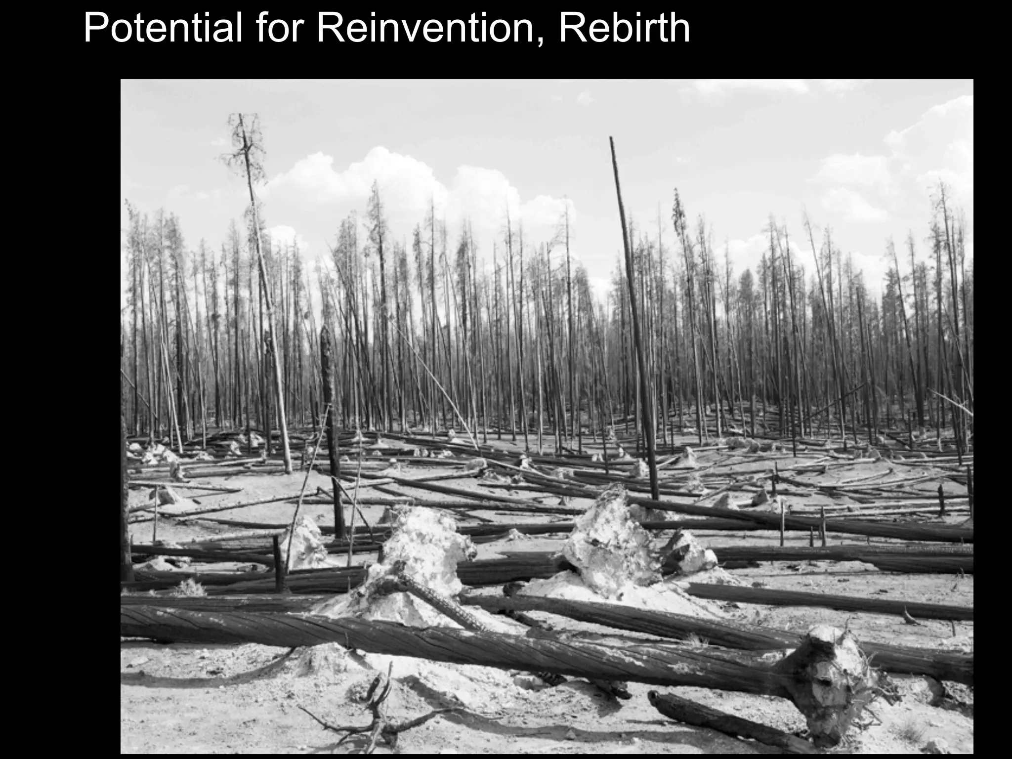 Potential for Reinvention, Rebirth
 