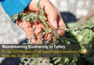 Mainstreaming Biodiversity in Turkey
Dr. İsa ÖZKAN, Head of Field Crops Research Department, Turkey
Roma, Italy, 20 January 2015
 