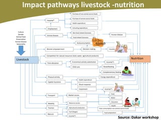 Mainstreaming human nutrition in livestock interventions: Lessons learned from a capacity building workshop for the Sahel region