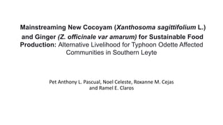 Mainstreaming New Cocoyam (Xanthosoma sagittifolium L.)
and Ginger (Z. officinale var amarum) for Sustainable Food
Production: Alternative Livelihood for Typhoon Odette Affected
Communities in Southern Leyte
Pet Anthony L. Pascual, Noel Celeste, Roxanne M. Cejas
and Ramel E. Claros
 