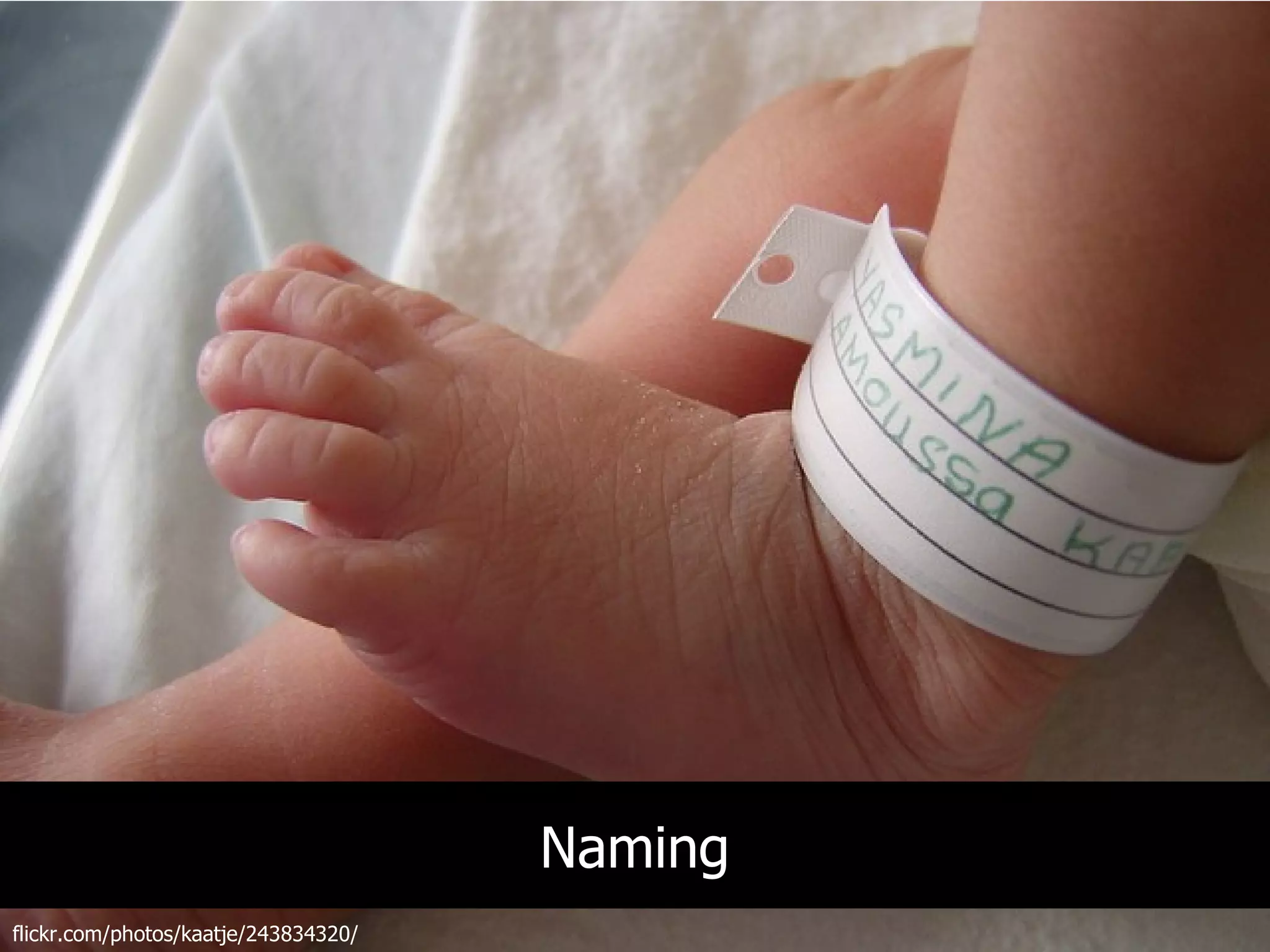 Naming
flickr.com/photos/kaatje/243834320/
 