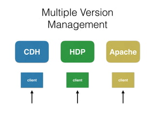 Multiple Version  
Management
CDH HDP Apache
client client client
 