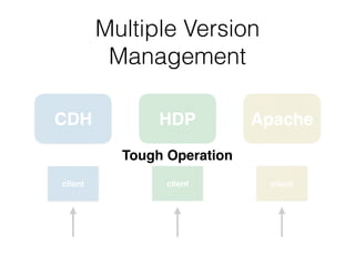 Multiple Version  
Management
CDH HDP Apache
client client client
Tough Operation
 