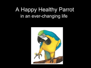 A Happy Healthy Parrot in an ever-changing life   