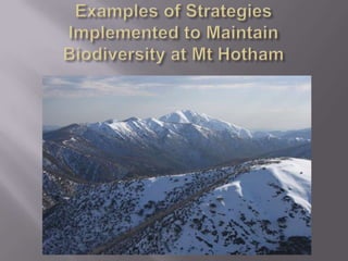 Examples of Strategies Implemented to Maintain Biodiversity at Mt Hotham 