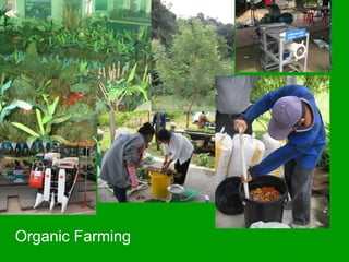 Organic Farming 