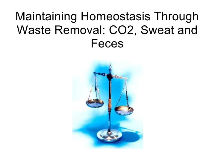Maintaining homeostasis through_waste_removal