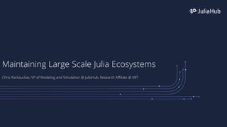 Maintaining Large Scale Julia Ecosystems
Chris Rackauckas, VP of Modeling and Simulation @ JuliaHub, Research Affiliate @ MIT
 