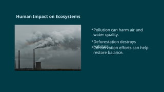 Human Impact on Ecosystems
•Pollution can harm air and
water quality.
•Deforestation destroys
habitats.
•Conservation efforts can help
restore balance.
 