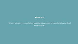 Reflection
What is one way you can help protect the basic needs of organisms in your local
environment?
 