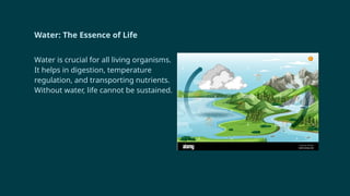 Water: The Essence of Life
Water is crucial for all living organisms.
It helps in digestion, temperature
regulation, and transporting nutrients.
Without water, life cannot be sustained.
 
