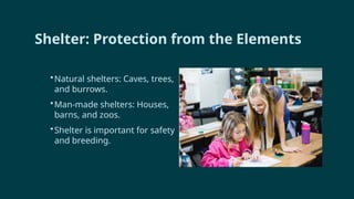 Shelter: Protection from the Elements
•Natural shelters: Caves, trees,
and burrows.
•Man-made shelters: Houses,
barns, and zoos.
•Shelter is important for safety
and breeding.
 