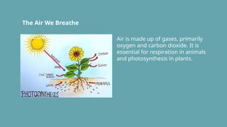 The Air We Breathe
Air is made up of gases, primarily
oxygen and carbon dioxide. It is
essential for respiration in animals
and photosynthesis in plants.
 