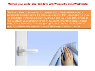 Maintain your Crystal Clear Windows with Window Cleaning Westminster
You already know how important it is to preserve your home and property as a
homeowner. General cleaning and maintenance ensures that everything is in working
order and looks wonderful, but when was the last time you looked at the outside of
your windows? Many homeowners put off cleaning their windows because it takes
time, requires more effort than average to get to each one, and because they are
exposed to the weather, they will receive marks as soon as the next rain falls.
 