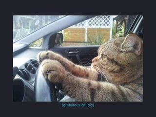 (gratuitous cat pic)
 