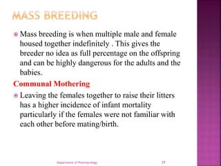 Multiplication Breeding Maintenance and breeding of laboratory animals | PPTX
