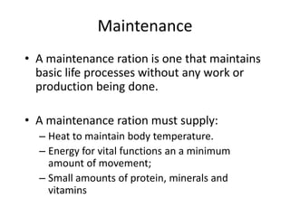 Maintenance and Growth | PPTX