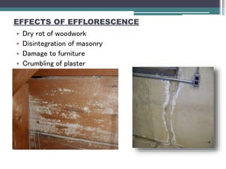 EFFECTS OF EFFLORESCENCE
• Dry rot of woodwork
• Disintegration of masonry
• Damage to furniture
• Crumbling of plaster
 