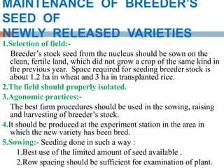 MAINTENANCE OF BREEDER’S
SEED OF
NEWLY RELEASED VARIETIES
1.Selection of field:-
Breeder’s stock seed from the nucleus should be sown on the
clean, fertile land, which did not grow a crop of the same kind in
the previous year. Space required for seeding breeder stock is
about 1.2 ha in wheat and 3 ha in transplanted rice.
2.The field should properly isolated.
3.Agonomic practices:-
The best farm procedures should be used in the sowing, raising
and harvesting of breeder’s stock.
4.It should be produced at the experiment station in the area in
which the new variety has been bred.
5.Sowing:- Seeding done in such a way :
1.Best use of the limited amount of seed available .
2.Row spacing should be sufficient for examination of plant.
 